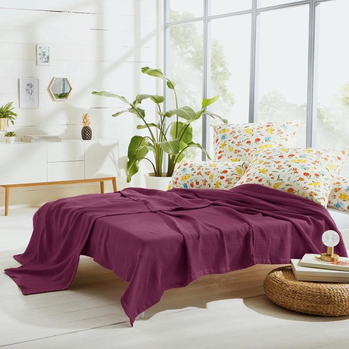 Image du produit Erwin Müller Sommer-Decke (220 x 240 cm)