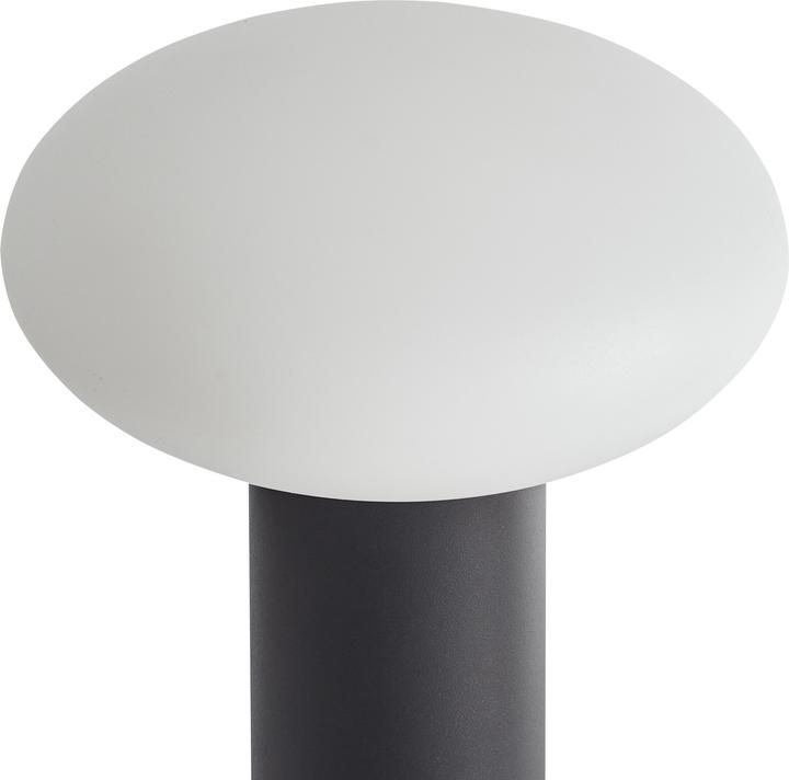 Image du produit Beliani Buayan (100 lm)