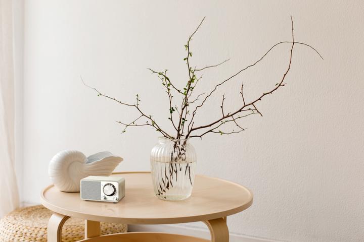 Actual product image Sangean WR-7 Plus (FM, Bluetooth)