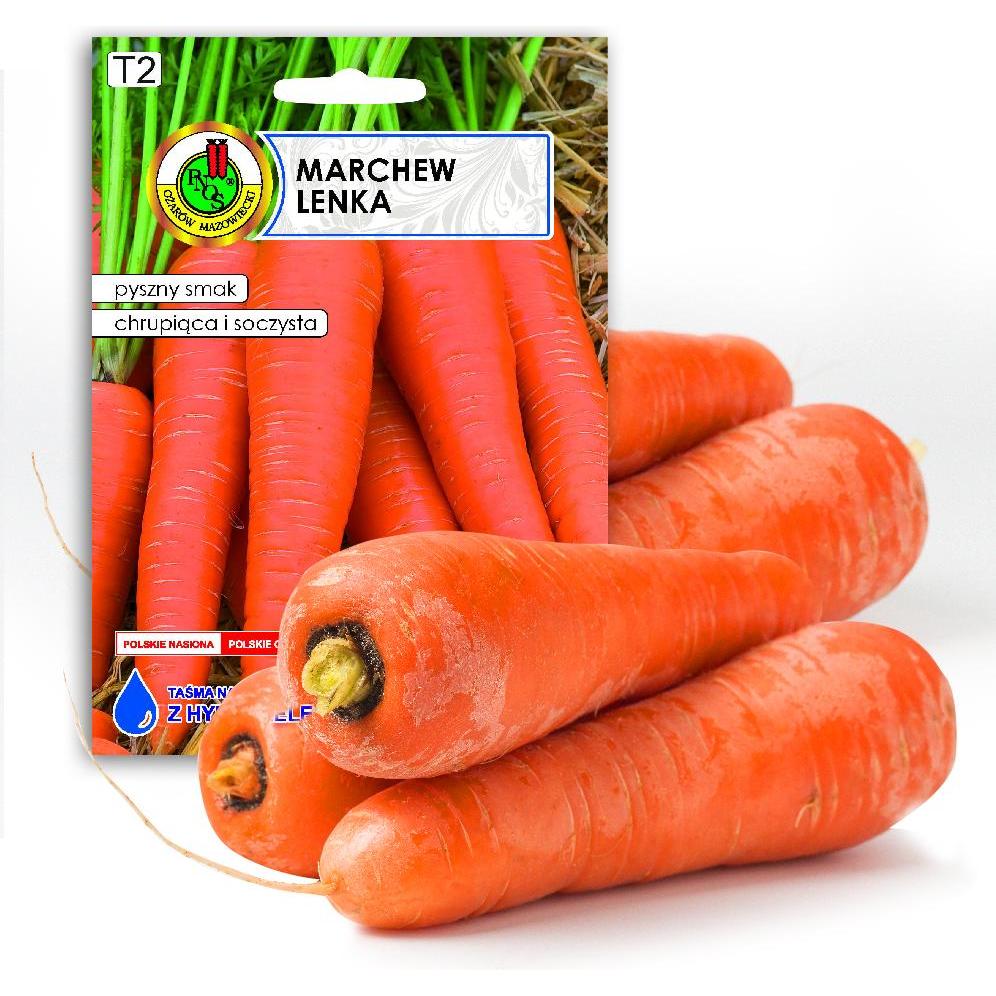 Apte, Semi, PNOS Samen auf Band Essbare Möhre Lenka 6 m Band (Semi di verdura)