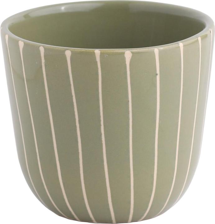 Olive green striped
