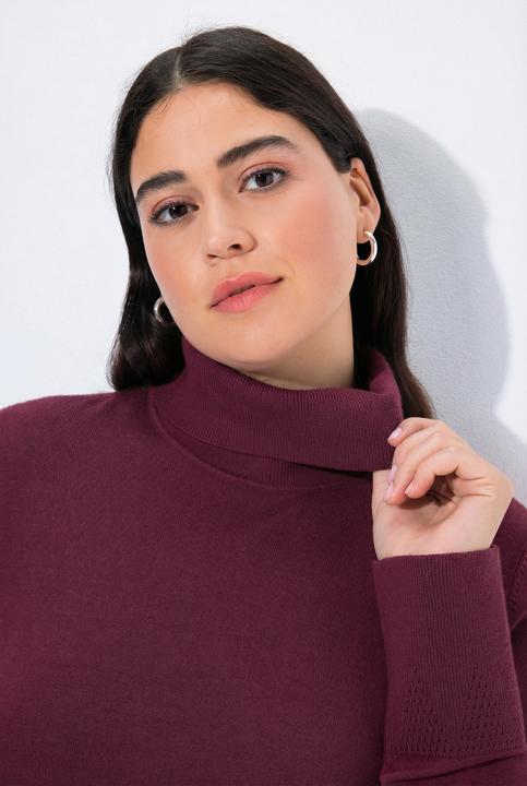 Produktbild Ulla Popken Rollkragenpullover, breite Rippbündchen, Langarm (62)