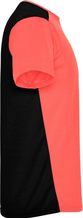 Actual product image Alpinia Unisex Adult Detroit Short-Sleeved Sports T-Shirt (L)