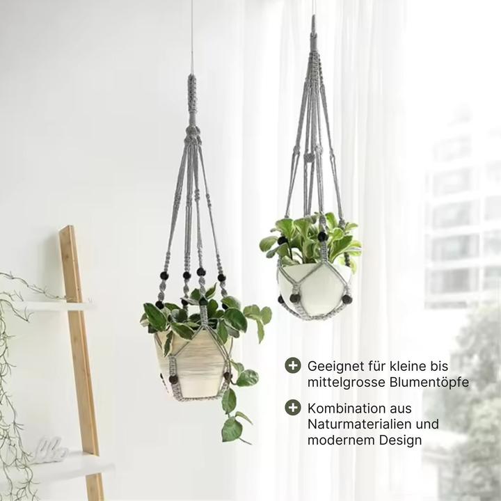 Produktbild Hermex Blumenampel