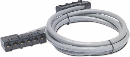 Actual product image APC Data Distribution Cable CAT5e UTP CMR CMR Gray 6xRJ-45 Jack to 6xRJ-45 Jack 45ft 137m