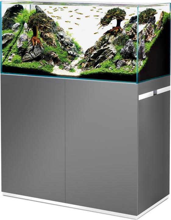 Oase Combinazione di acquari ScaperLine 100, grigio, 250 l (250 l)