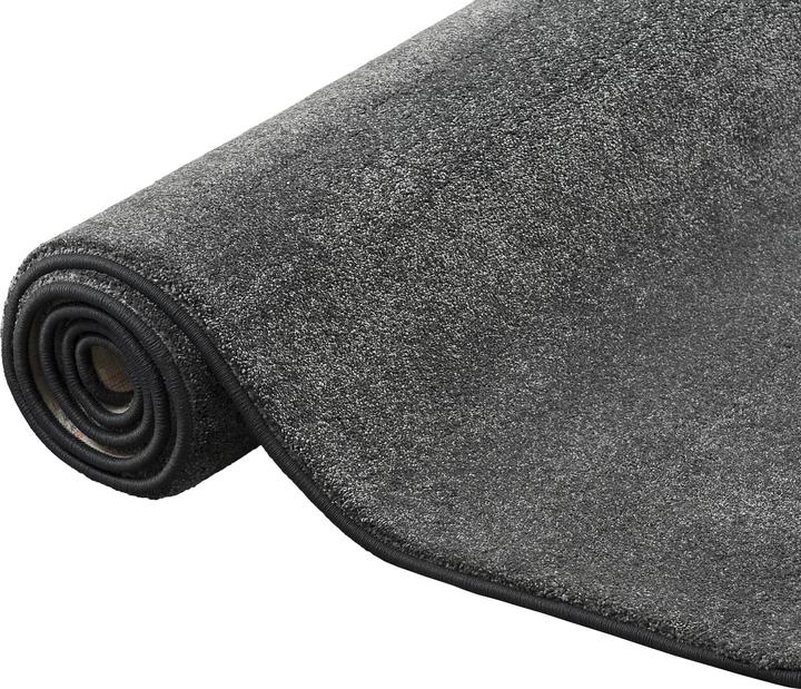 Produktbild Snapstyle Hochflor Luxus Velours Teppich Touch (200 x 300 cm)