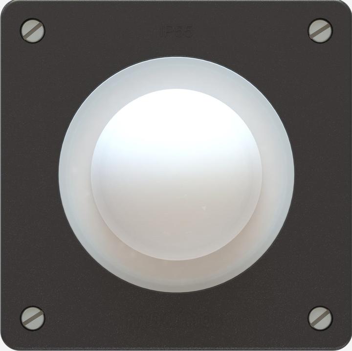Actual product image Max Hauri Bewegungsmedler 180° UP schwarz (10 m)