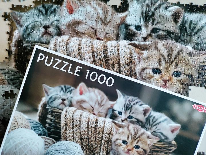 Produktbild Tactic Cute Kittens 1000 pcs (1000 Teile)