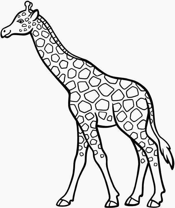 Produktbild Ravensburger Spiel & Spass - Mein allererster Malblock: Tiere