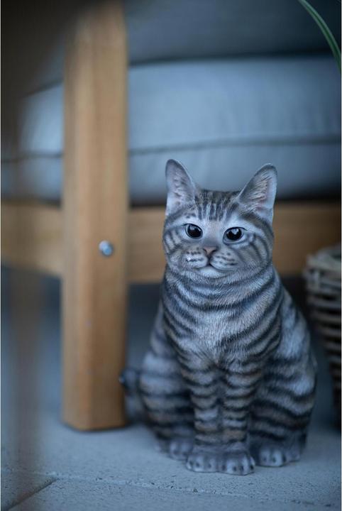 Image du produit Figurine décorative Chat Tabby (34 x 25 x 25 cm)
