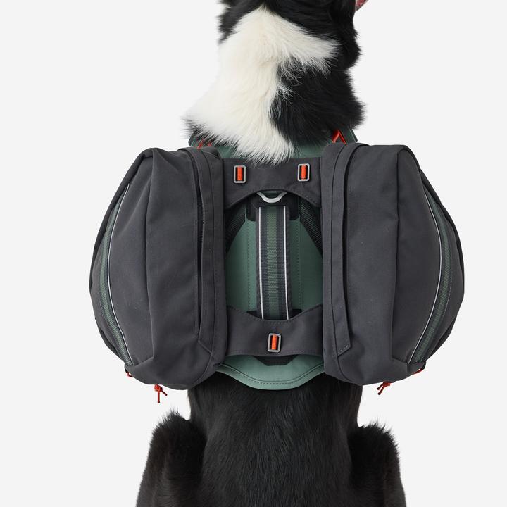 Produktbild Caperlan Hundegeschirr Wandern (S, Hund)