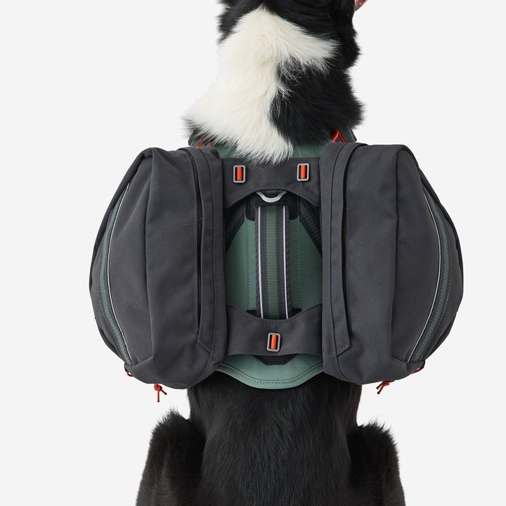 Actual product image Caperlan Hundegeschirr Wandern (S, Dog)