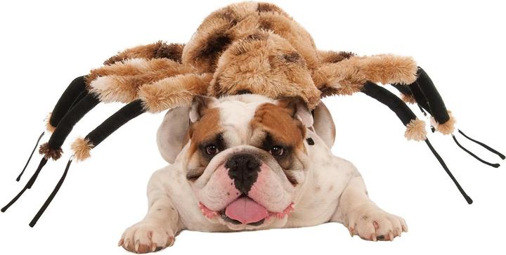 Actual product image Bristol Novelty Spider Dog Costume (L, Dog costume)