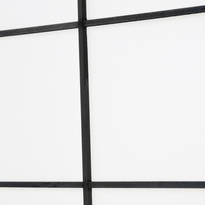 Actual product image Jamb Shoji