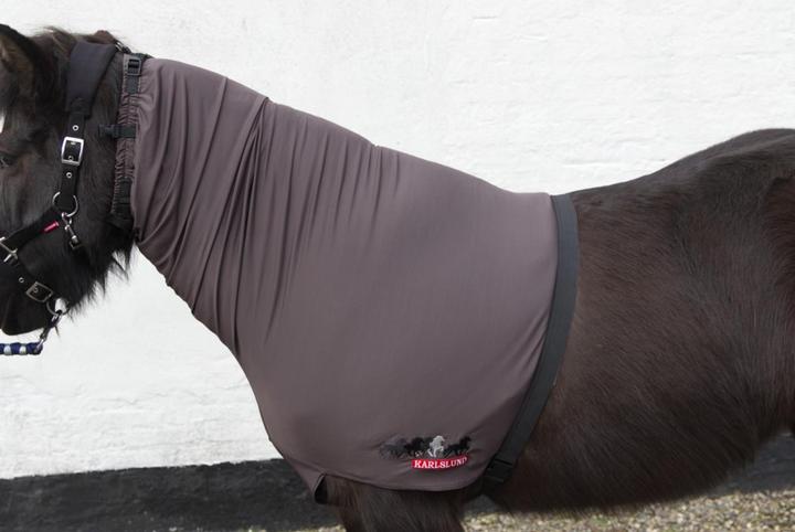 Actual product image Karlslund Eczema