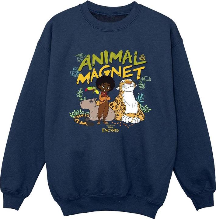 Produktbild Disney Encanto Animal Magnet Sweatshirt Jungen (152, 158)