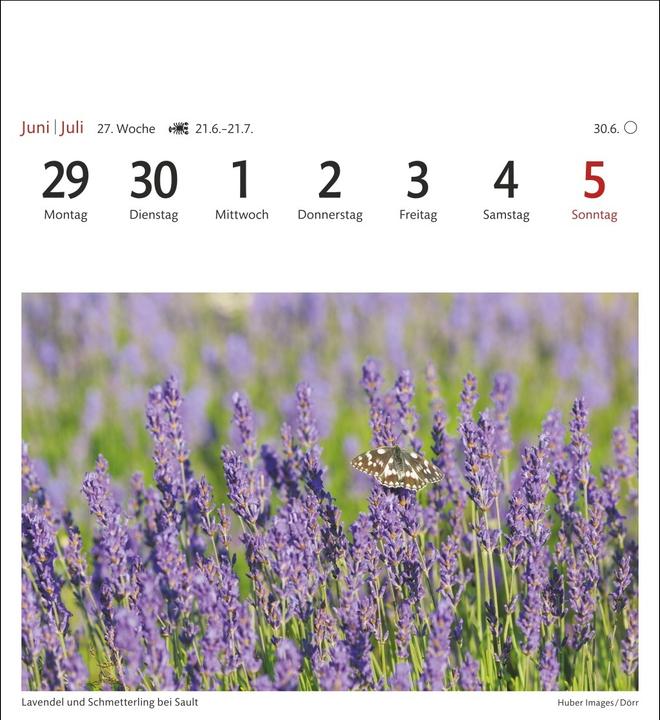 Actual product image Harenberg Provence Sehnsuchtskalender 2026 - Wochenkalender mit 53 Postkarten (Hardcover, German)