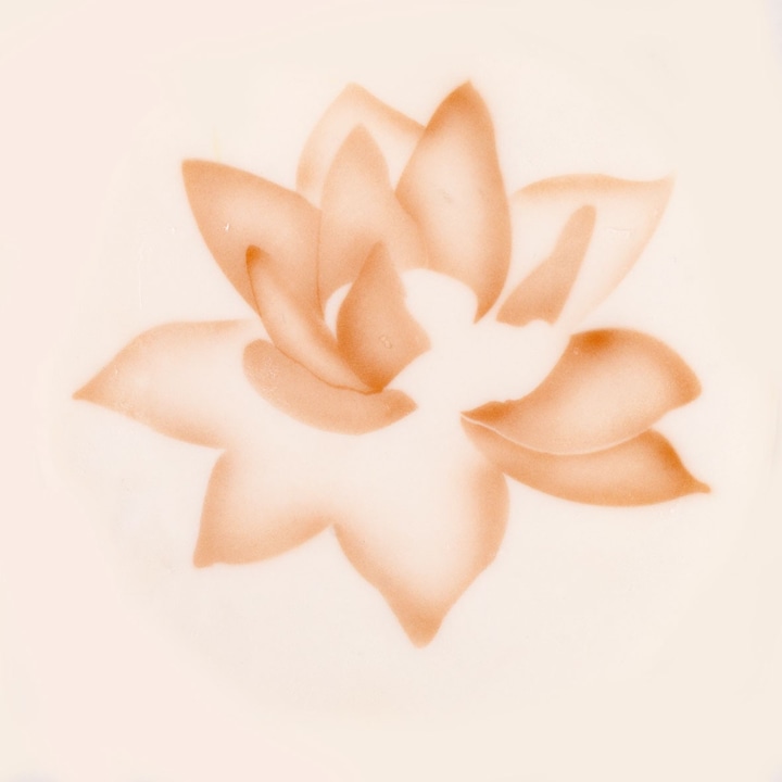 Actual product image Martellato Airbrush stencil lotus flower