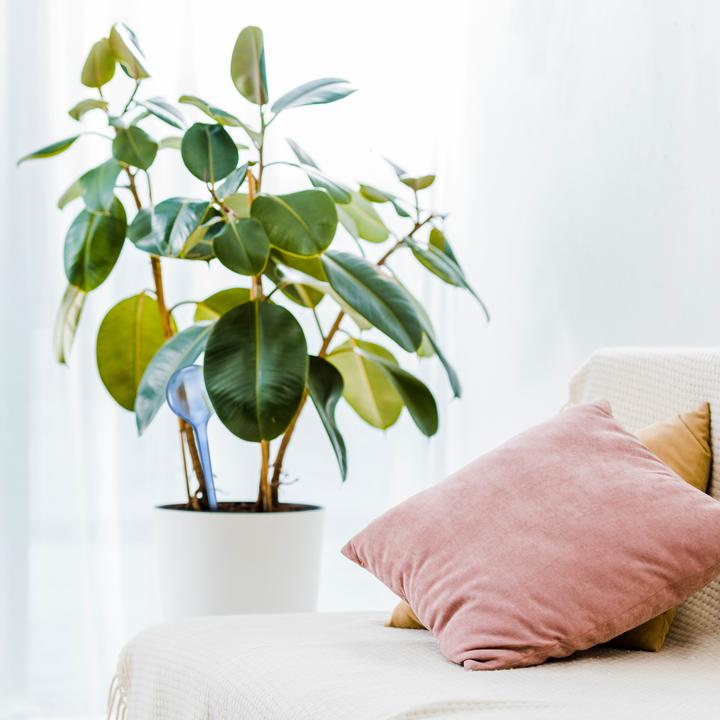 Produktbild Relaxdays 6x Bewässerungskugel (Bewässerungskugeln)