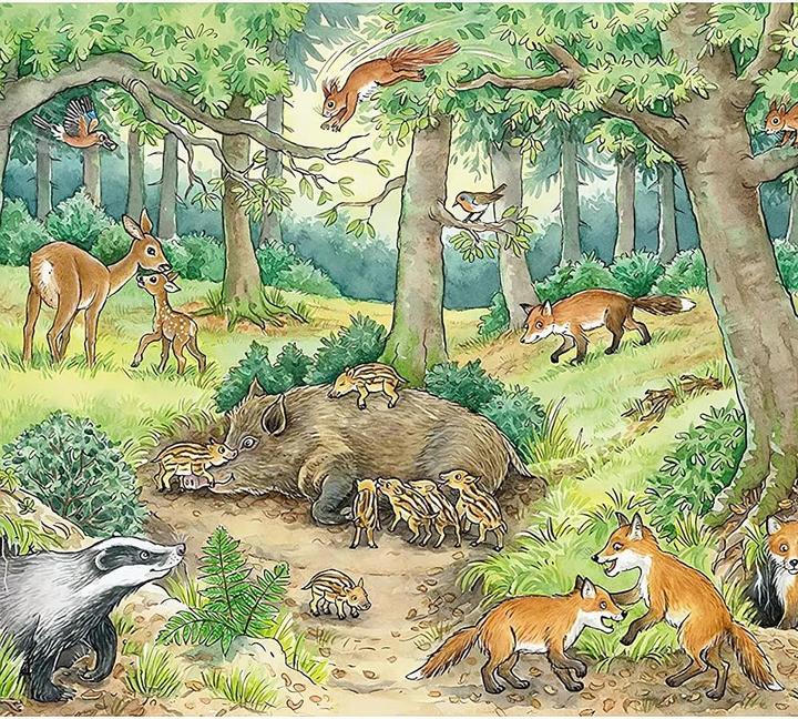 Produktbild Ravensburger Wieso? Weshalb? Warum? Tiere im Wald und auf der Wiese (12 Teile)