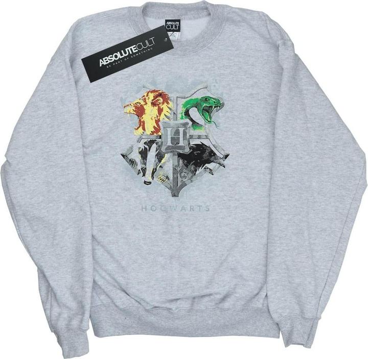 Produktbild Hogwarts Painted Crest Sweatshirt Jungen (128)