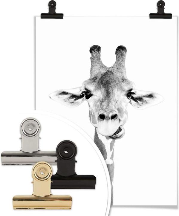 Produktbild Trenddeko Happy Giraffe (40 x 50 cm)