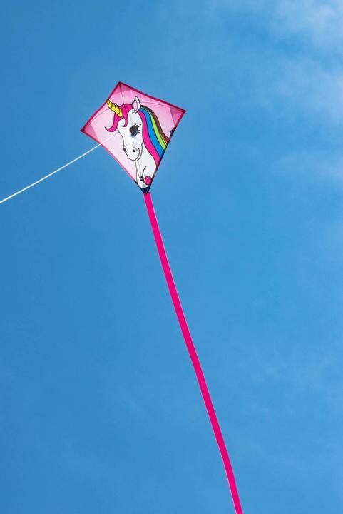Image du produit Invento Cerf-volant Mini Eddy Unicorn