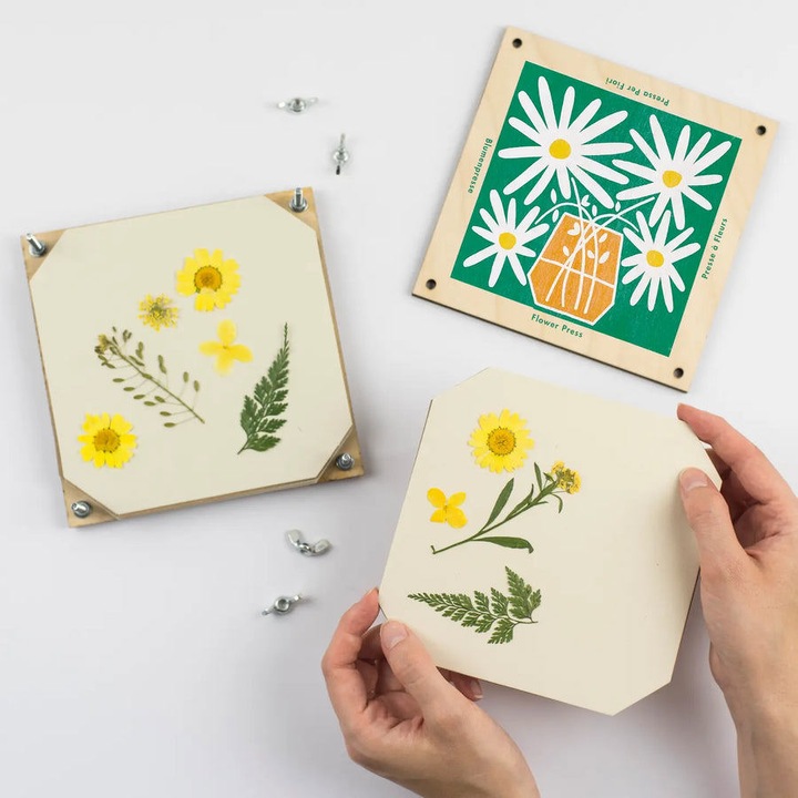 Produktbild Studio Wald Blumenpresse – Gänseblümchen