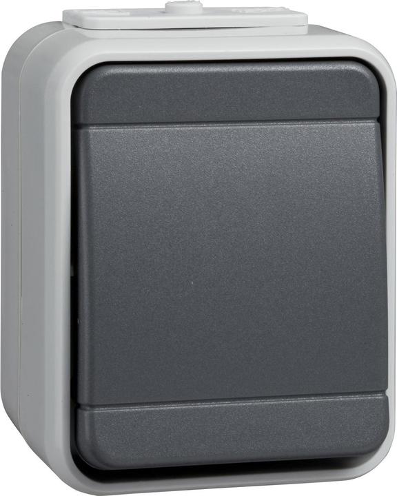 Black, Grey