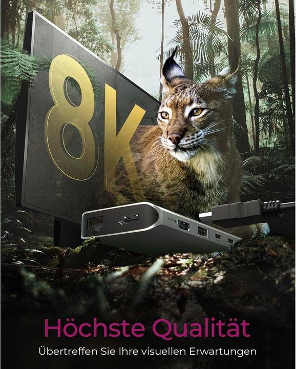 Actual product image Icy Box DockingStation with 8K, Gigabit LAN & 100W PD IB-DK4061-CPD (USB-C, 12 ports)