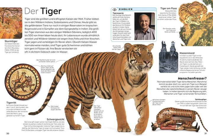 Actual product image memo Wissen. Katzen (German, DK Verlag - Kids, Juliet Clutton-Brock, Susanne Schmidt-Wussow, 2024)