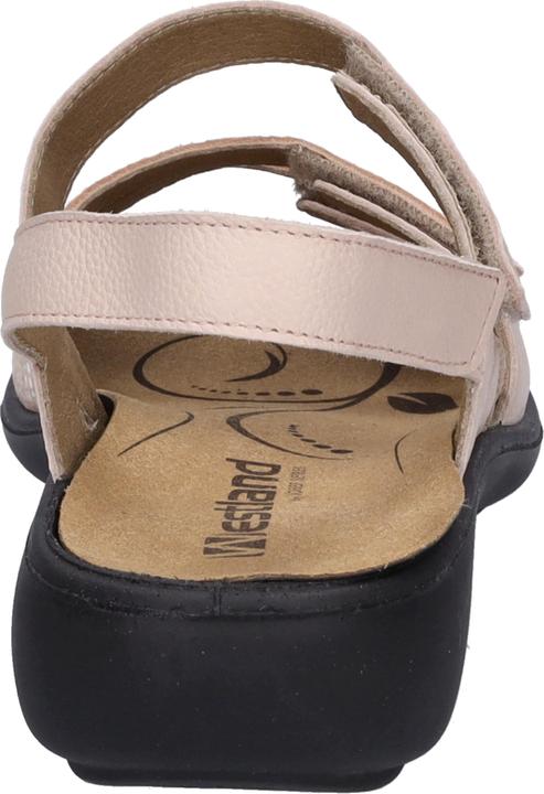 Actual product image Westland 16786-272 (37)