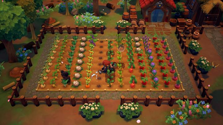 Produktbild Nintendo Fae Farm (Switch, Switch Lite, Switch OLED, DE)