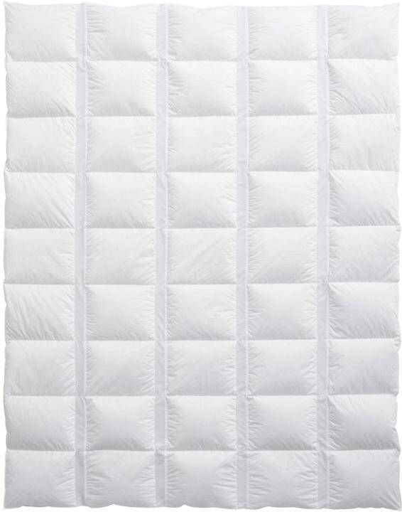 Produktbild Billerbeck Edition Balance (500 g, 200 x 210 cm)