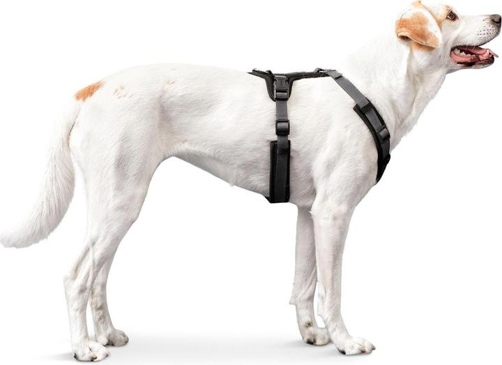 Image du produit Hunter Vaisselle Maldon (XS, Chien, Général)