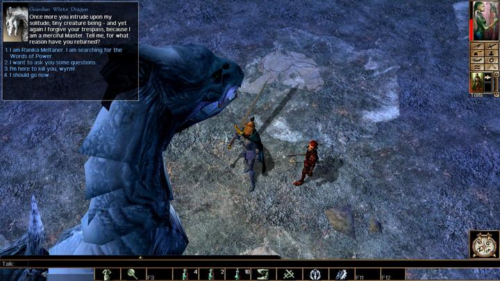 Image du produit Bioware Neverwinter Nights 108092 (PS4, EN)