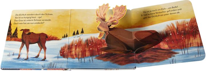 Immagine prodotto Il mio libro pop-up per meravigliarsi. Animali nel ghiaccio e nella neve (Tedesco)