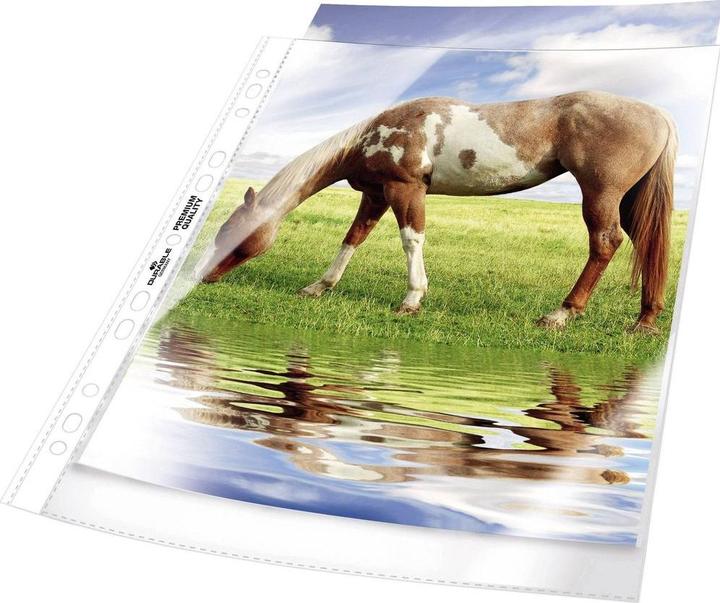 Immagine prodotto Durable Copertina foglietto A4 Premium (A4, 100 x)