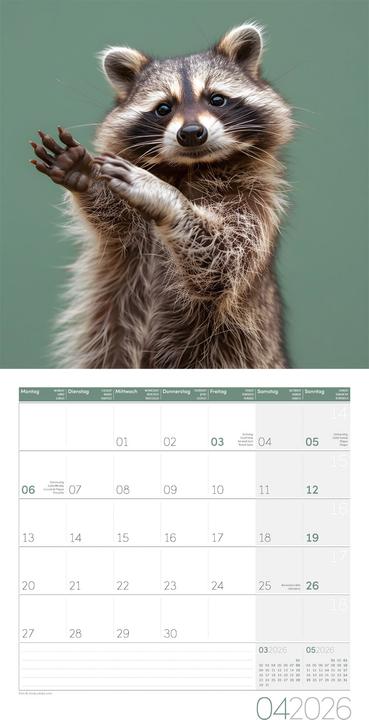 Produktbild Dancing Animals Kalender 2026