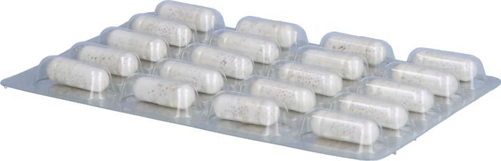 Produktbild Dr. Wolz Darm Pro Rds (60 Stück, 1053 ml, 75 g)