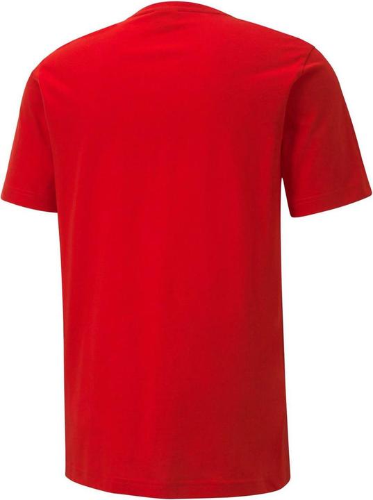 Actual product image Puma Mens TeamGoal 23 Casuals T-Shirt (XL)