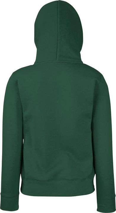 Actual product image Fruit of the Loom Lady fit jumper with hood (XS)