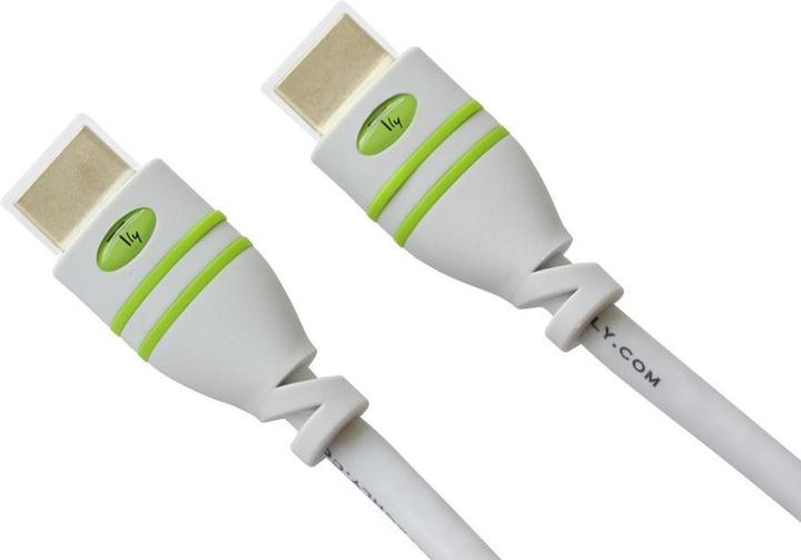Image du produit Techly HDMI (Typ A) — HDMI (Typ A) (10 m, HDMI)