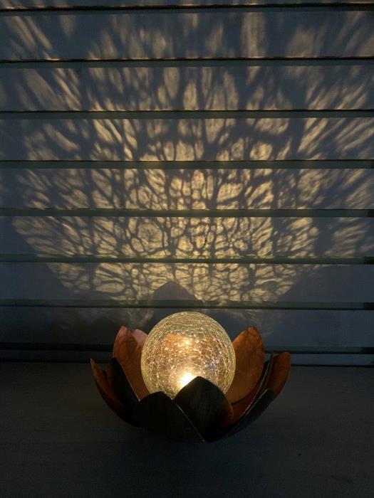 Image du produit GuGus Solaire