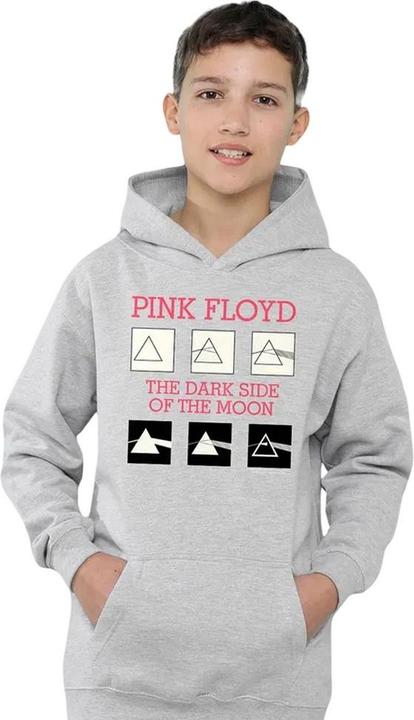 Produktbild Pink Floyd The Dark Side Of The Moon Kapuzenpullover meliert (116)