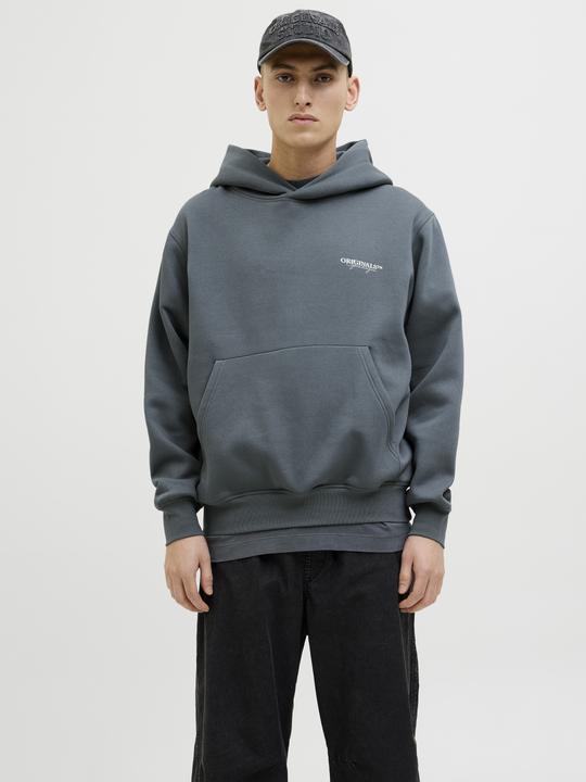 Actual product image Jack & Jones Jorislington Back Sweat Hood Sn (S)