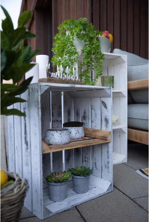 Immagine prodotto Botanic-Haus Eucalipto (58 cm)