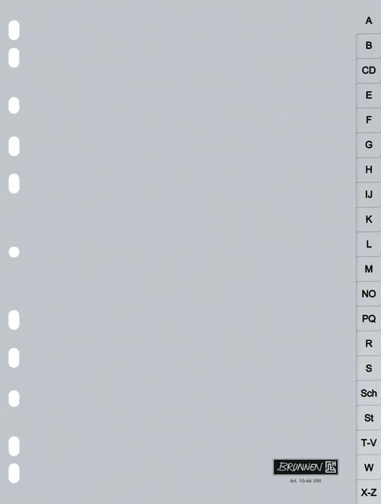 Nährwerte und Zutaten Brunnen Ordnerregister Vollformat A-Z grau 20-teilig, 1 St.