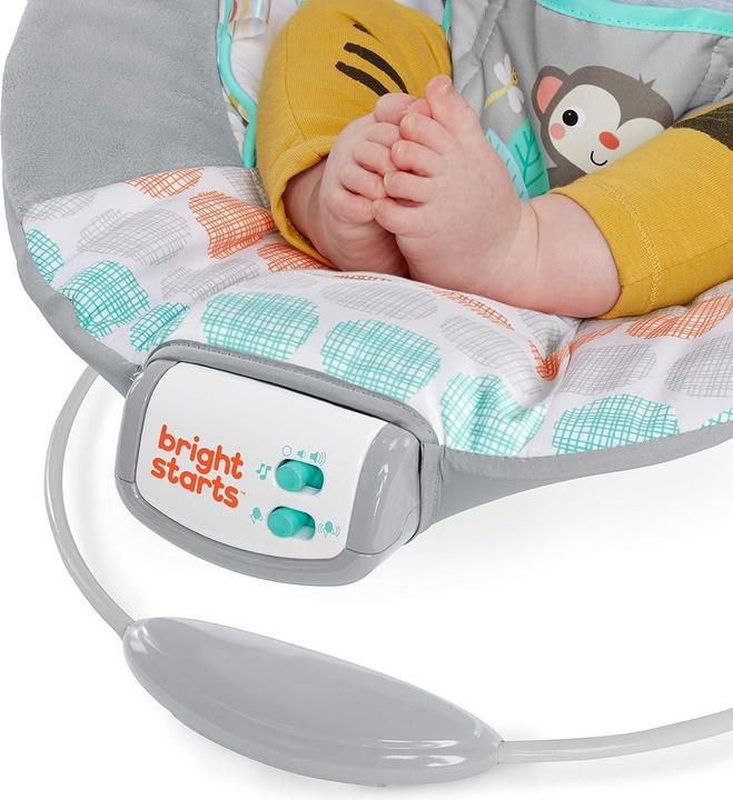 Image du produit Bright Starts Transat vibrant pour bébé, Whimsical Wild